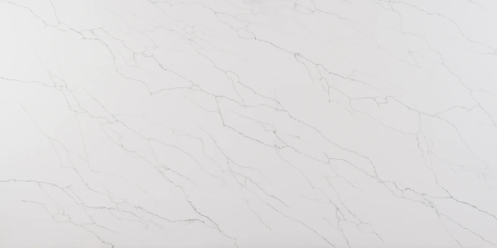 Countertops Bella Calacatta cabinet door sample