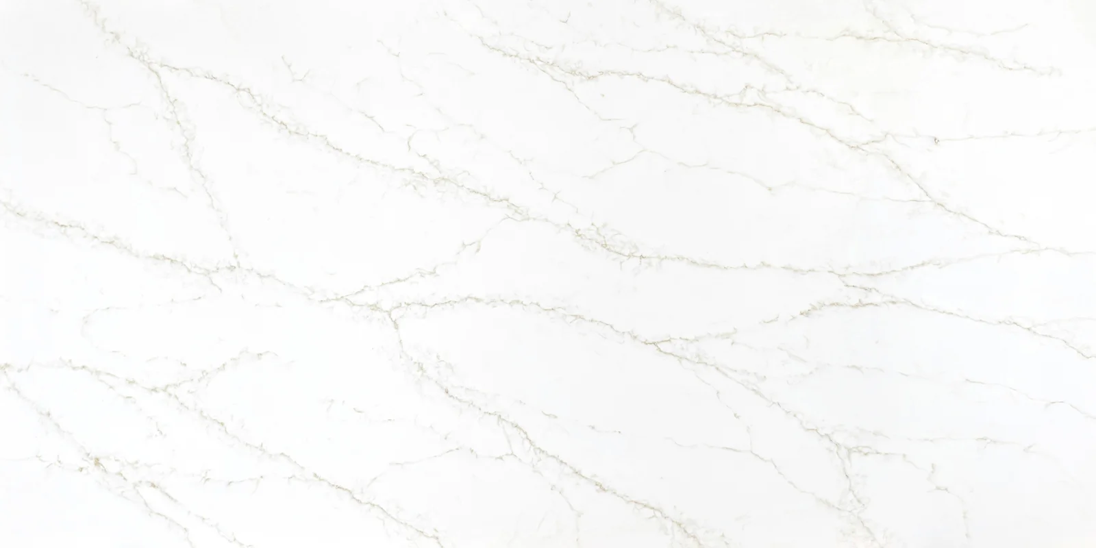 Countertops Galaxy Gold cabinet door sample