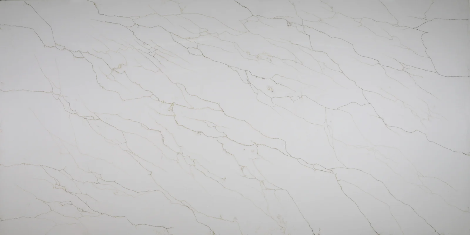 Countertops Roma Calacatta cabinet door sample