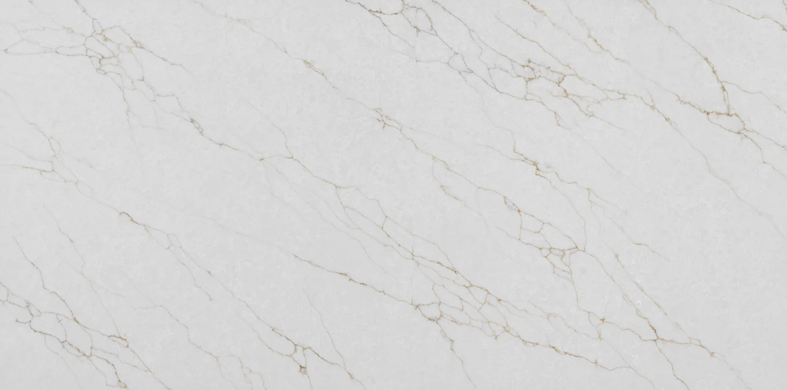 Countertops Venation Oro cabinet door sample